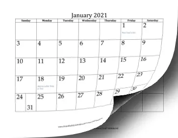 2021 Calendar (12 pages) Calendar