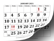 2021 Large Print calendar